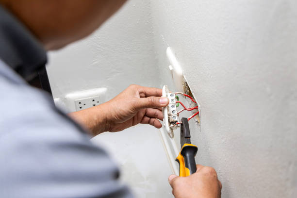 Best Electric Panel Repair  in Painesville, OH